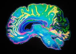 How Pornography Affects Your Brain [is porn good for you?] - 