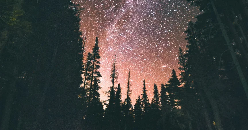 The Best Ways To Battle Pornography Use