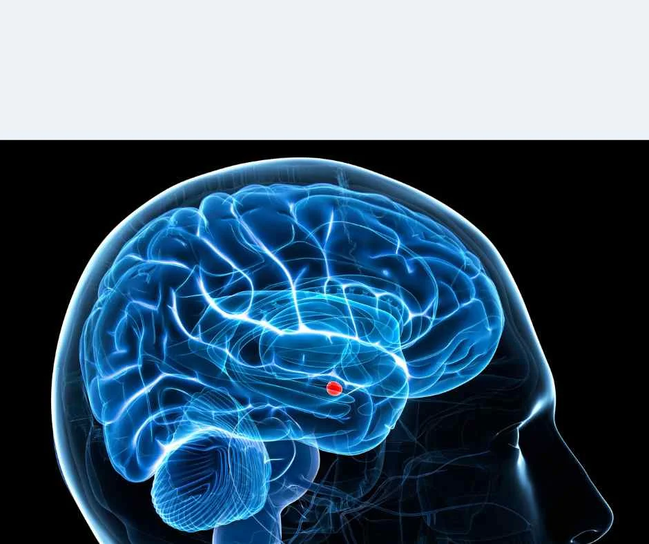 The Truths and Myths of Pornography Brain Research - Ever Accountable