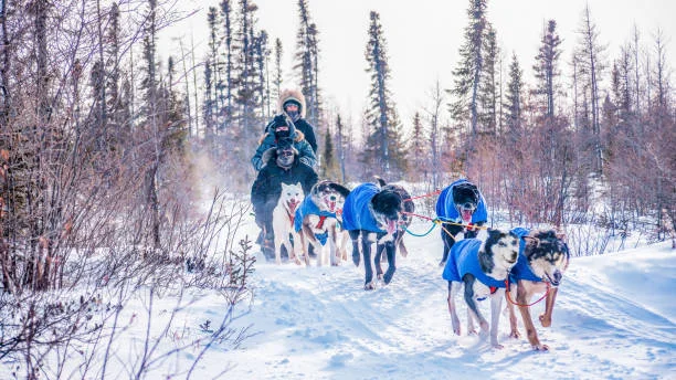 Holiday stress and porn triggers: 7 ways to cope - Ever Accountable