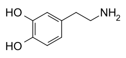 How Does Porn Affect Your Brain - Dopamine Molecule