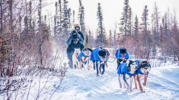 Holiday stress and porn triggers: 7 ways to cope