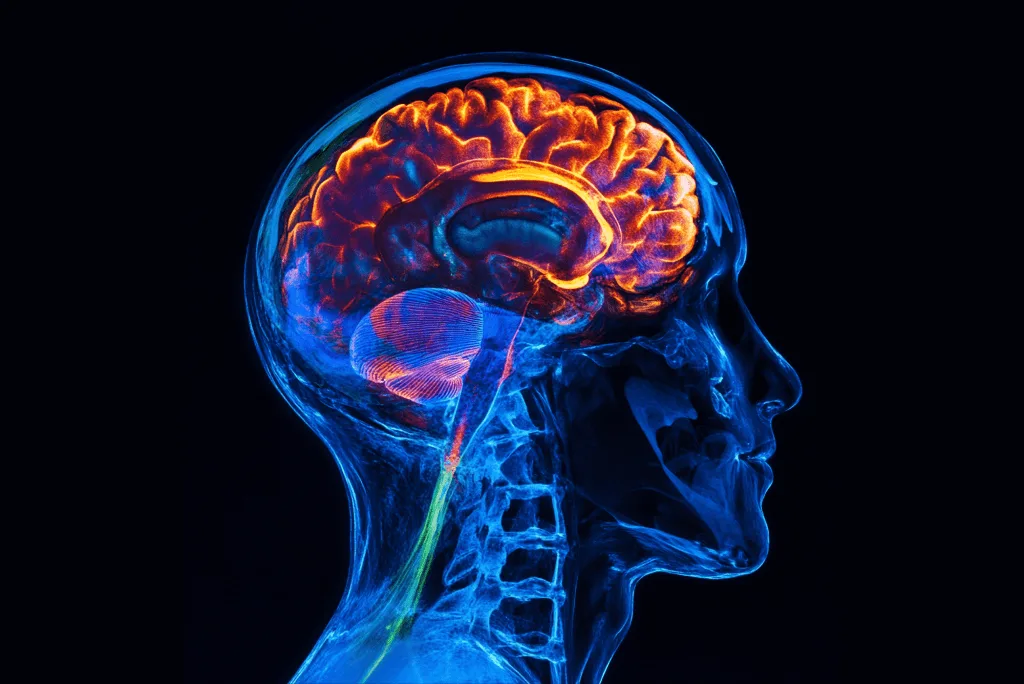 The Effects of Watching Too Much Porn: Understanding the Impact